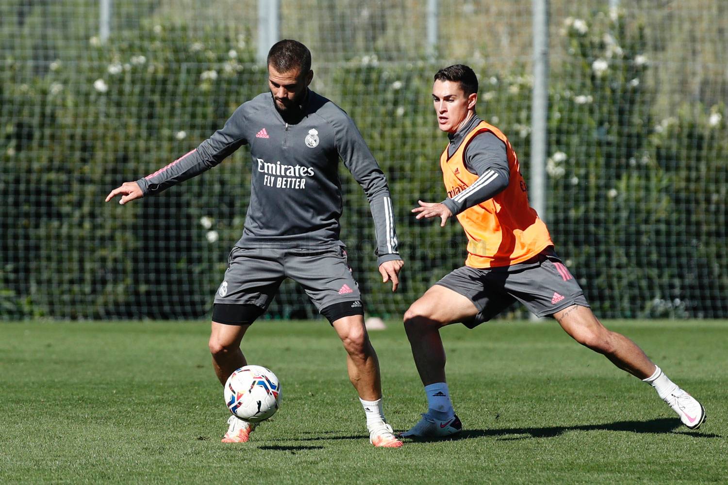 Новость на сайте FondoRuso.ru /assets/img//news/2020/2020-10-14-59-training.jpg