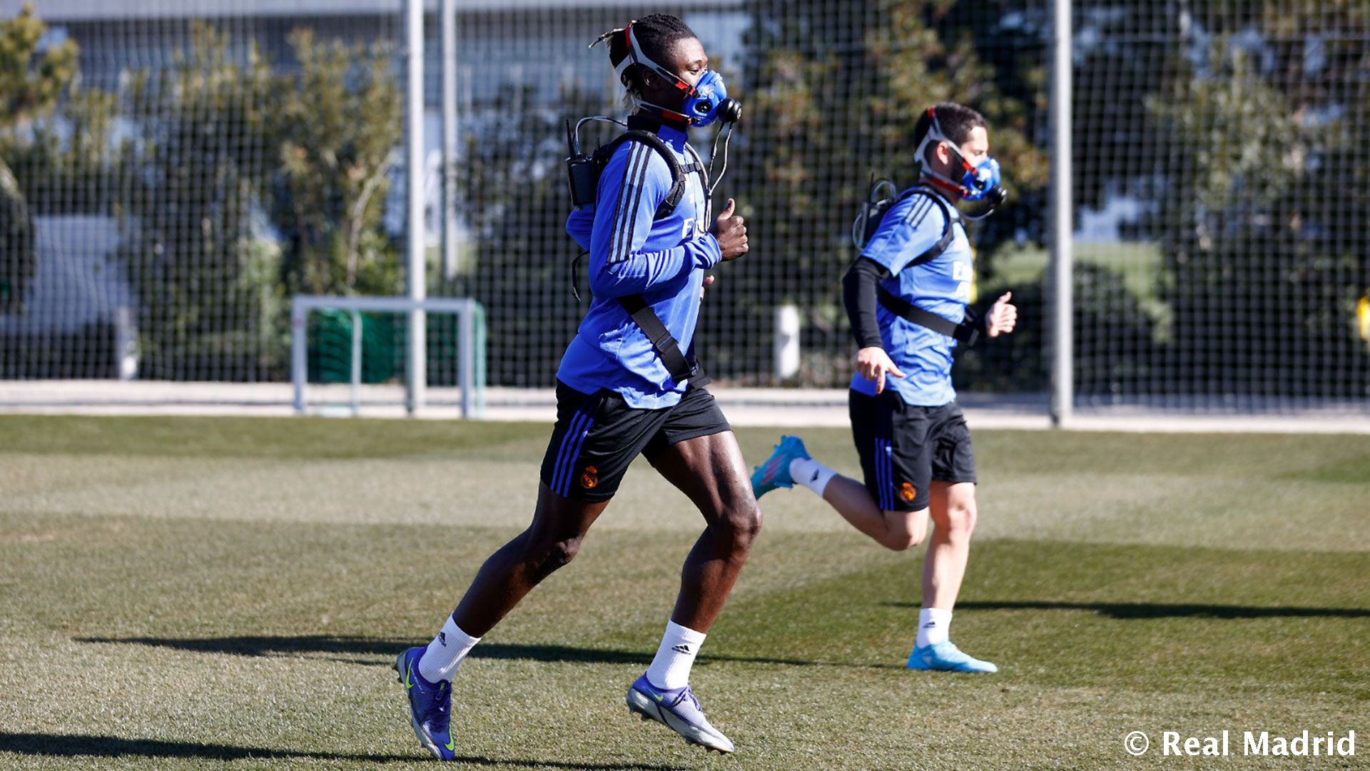 Новость на сайте FondoRuso.ru /assets/img//news/2021/2022-01-28-40-cama-isco.jpeg