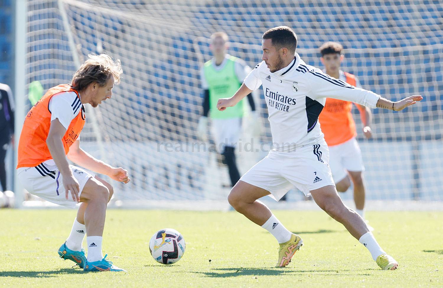 Новость на сайте FondoRuso.ru /assets/img//news/2021/2022-11-06-09-training.jpg