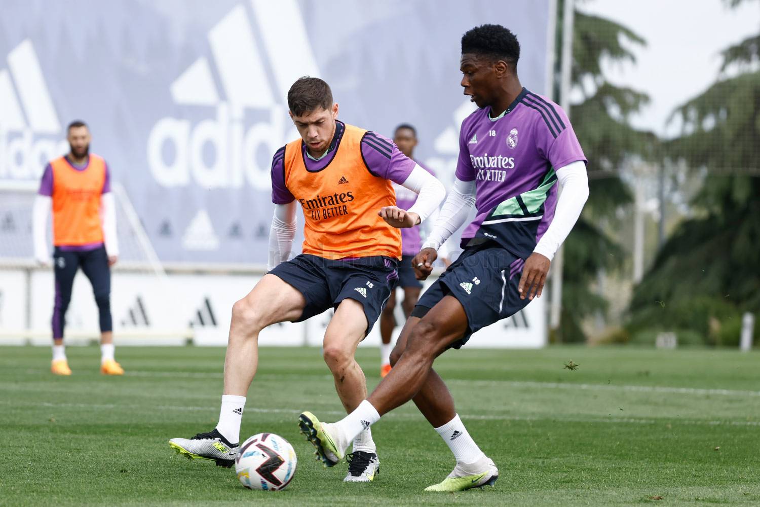 Новость на сайте FondoRuso.ru /assets/img//news/2023/2023-05-23-45-training.jpg