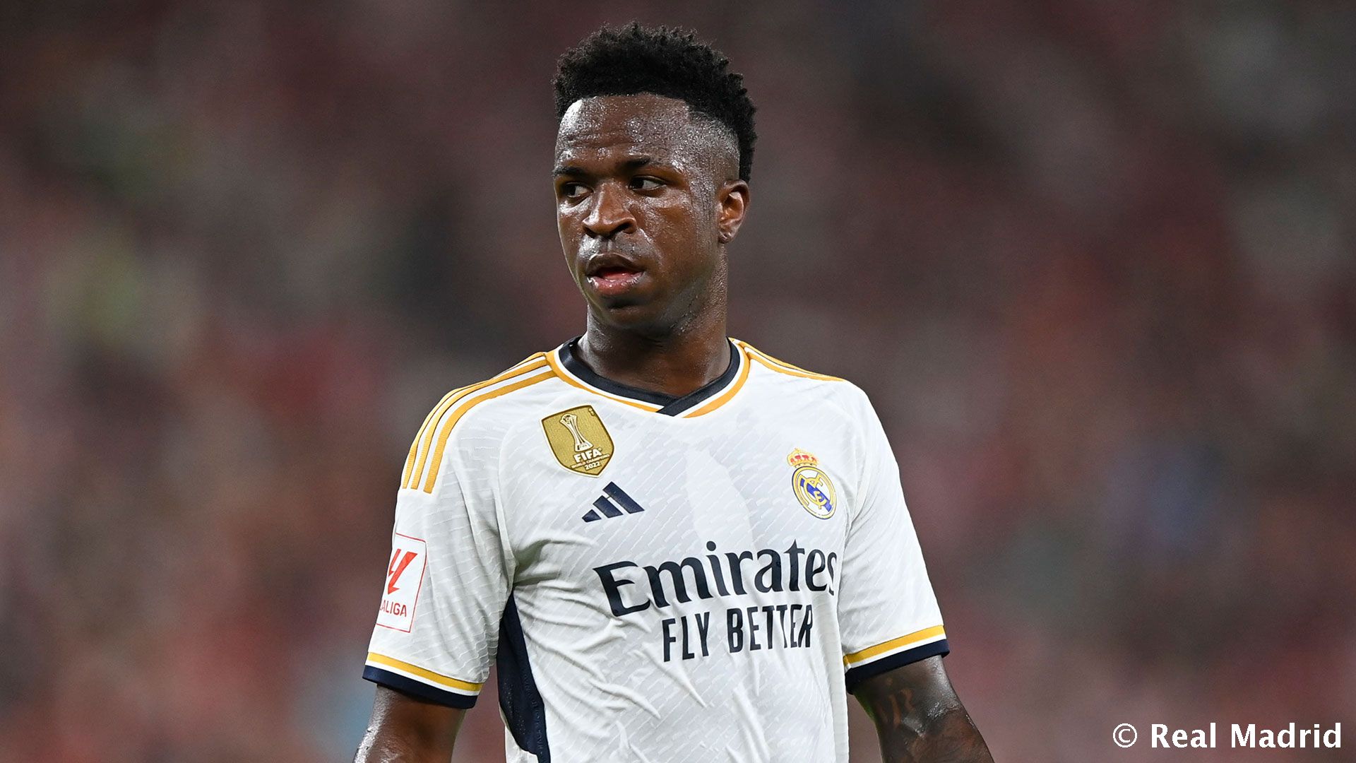 Новость на сайте FondoRuso.ru /assets/img//news/2023/2023-08-28-33-vinicius.jpg