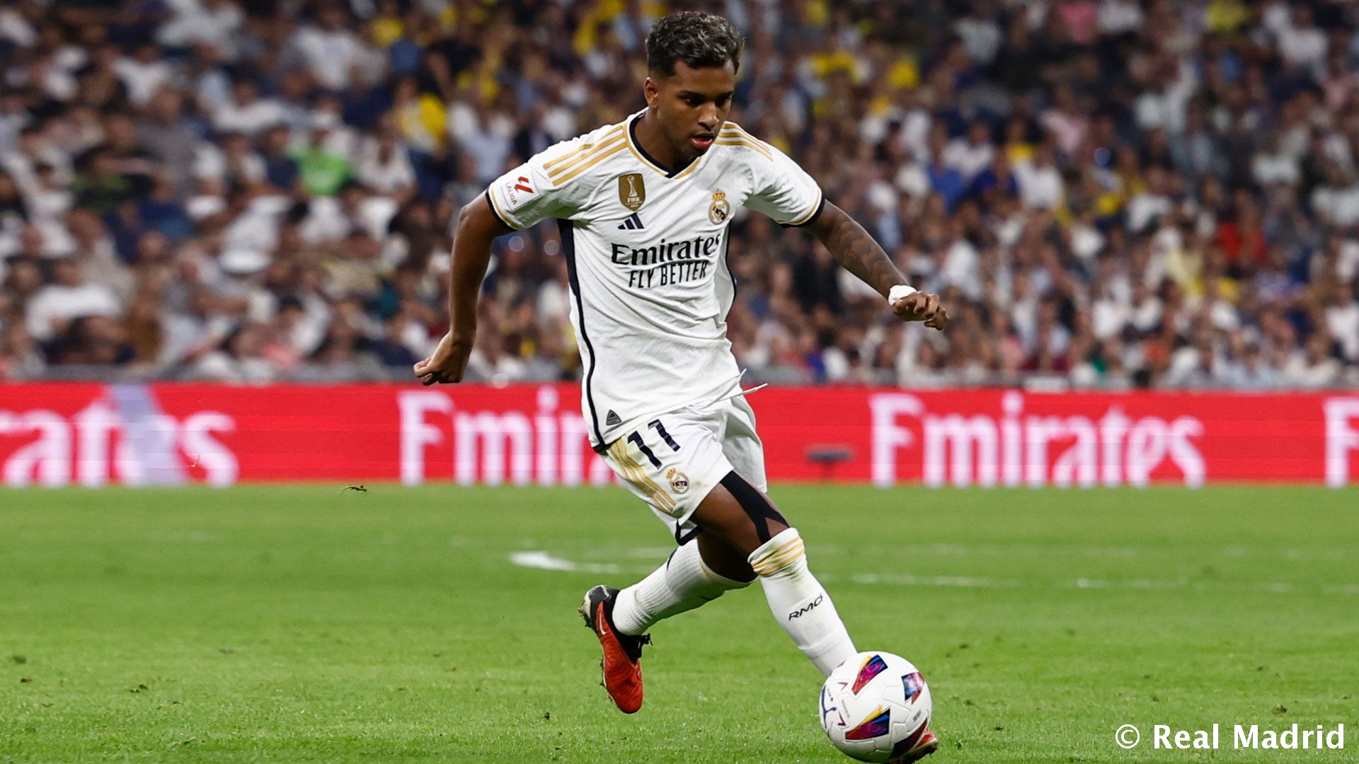 Новость на сайте FondoRuso.ru /assets/img//news/2023/2023-11-10-27-squad.jpg