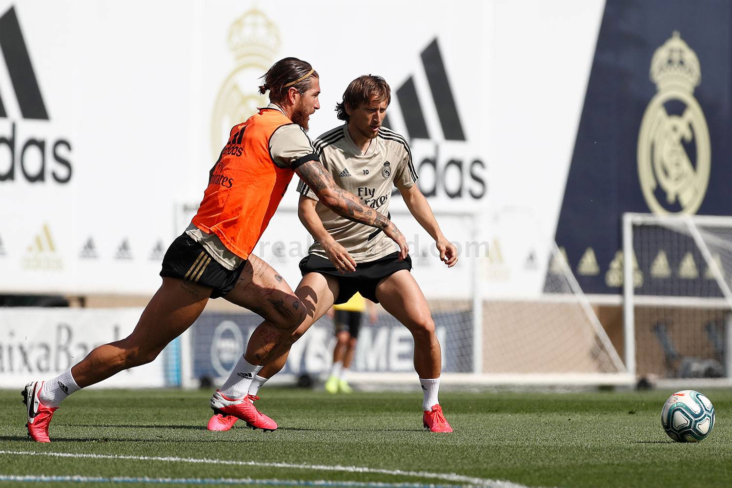 Новость на сайте FondoRuso.ru /assets/img/news/2020/2020-06-01-trainingsession.jpg