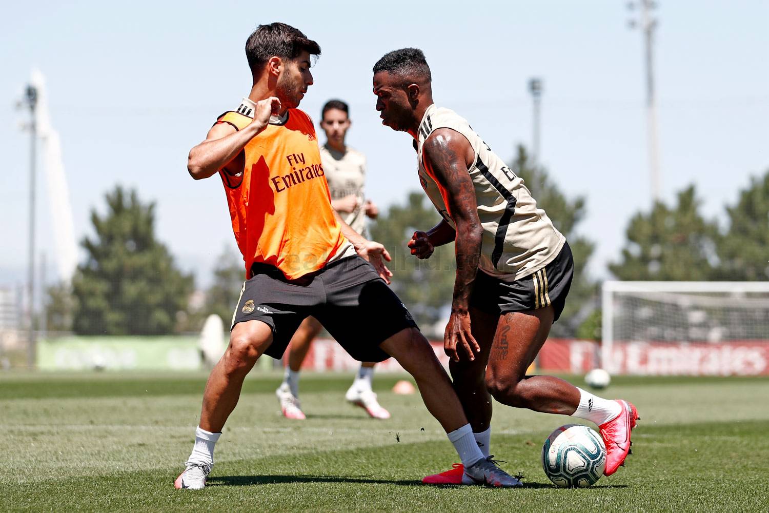 Новость на сайте FondoRuso.ru /assets/img/news/2020/2020-07-17-44-training17.jpg