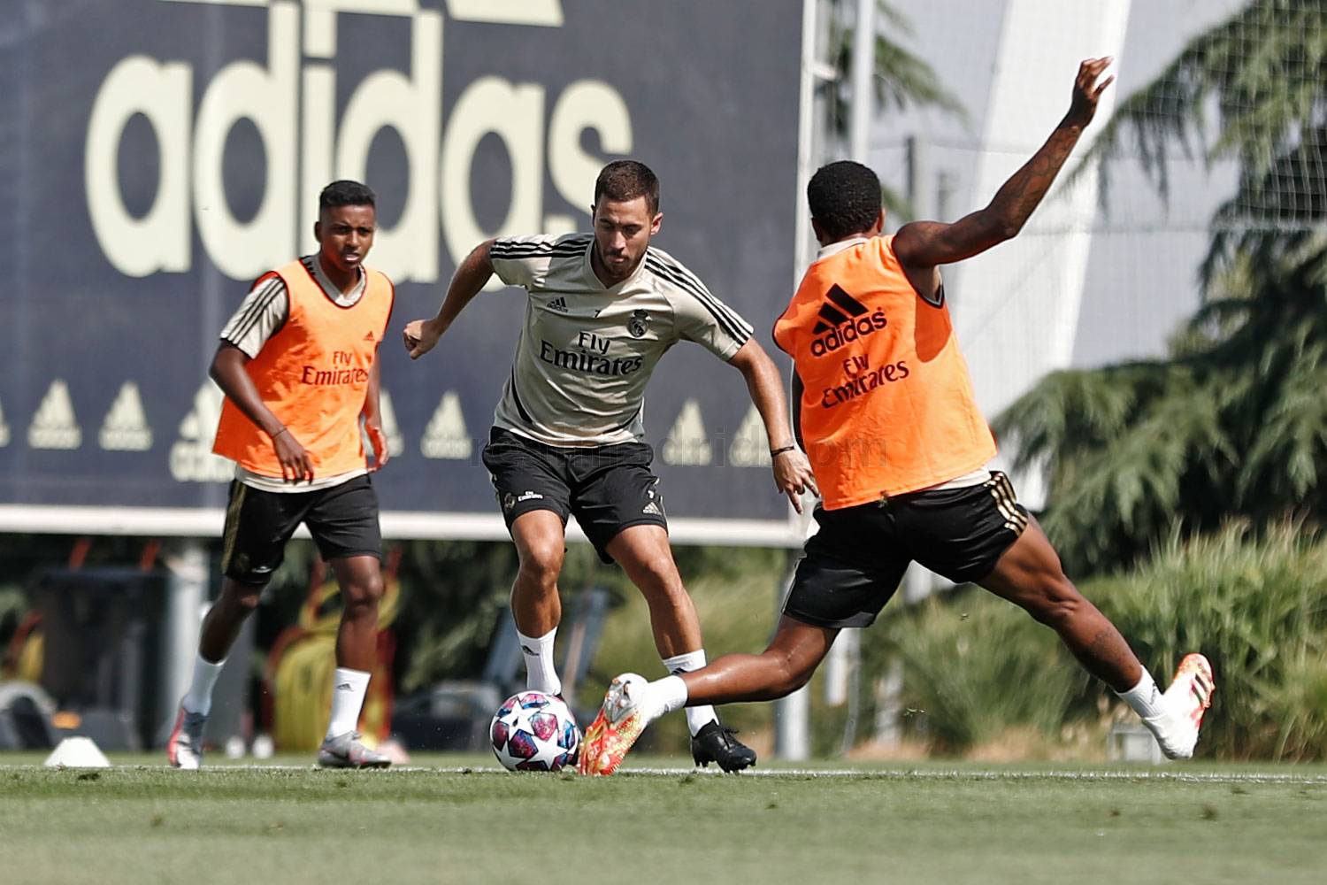 Новость на сайте FondoRuso.ru /assets/img/news/2020/2020-07-29-55-hazard.jpg