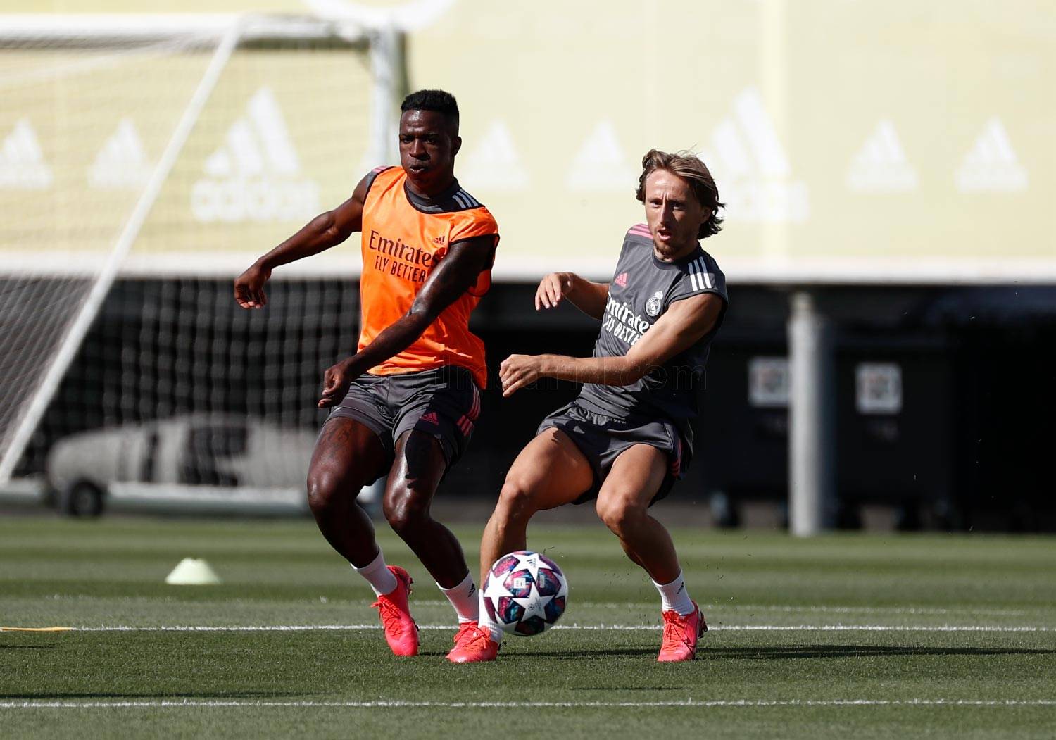 Новость на сайте FondoRuso.ru /assets/img/news/2020/2020-08-03-41-trainingsession.jpg