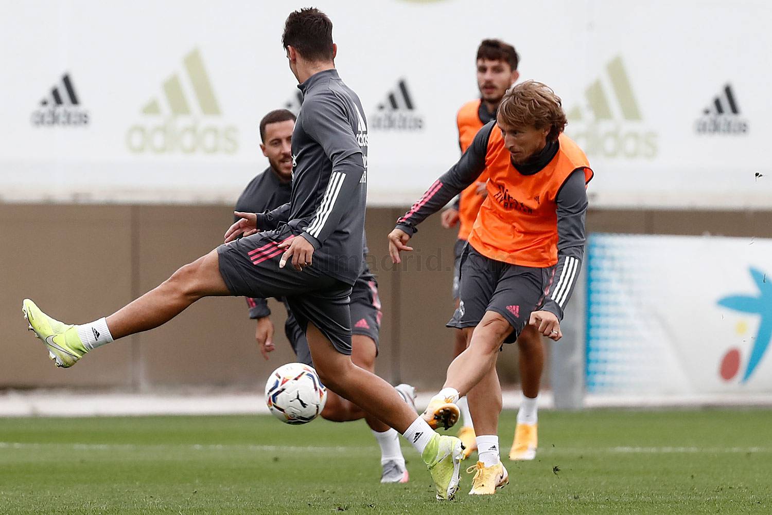 Новость на сайте FondoRuso.ru /assets/img/news/2020/2020-09-24-59-trainingssession1.jpg