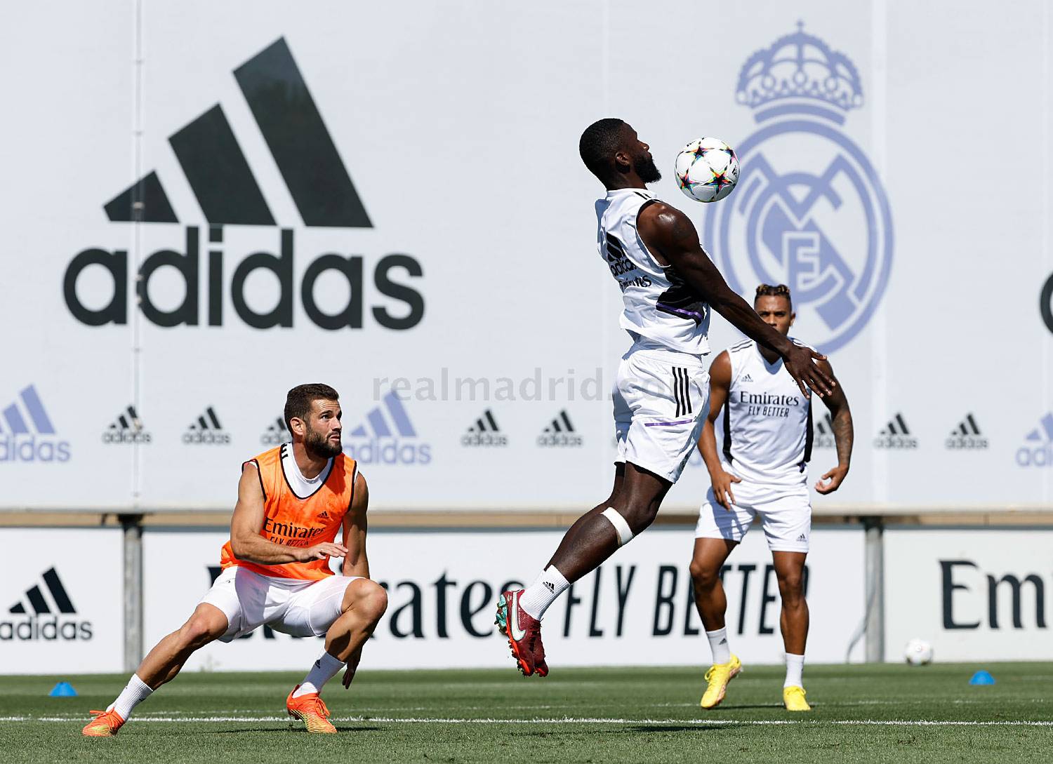 Команда начала подготовку к Лиге Чемпионов