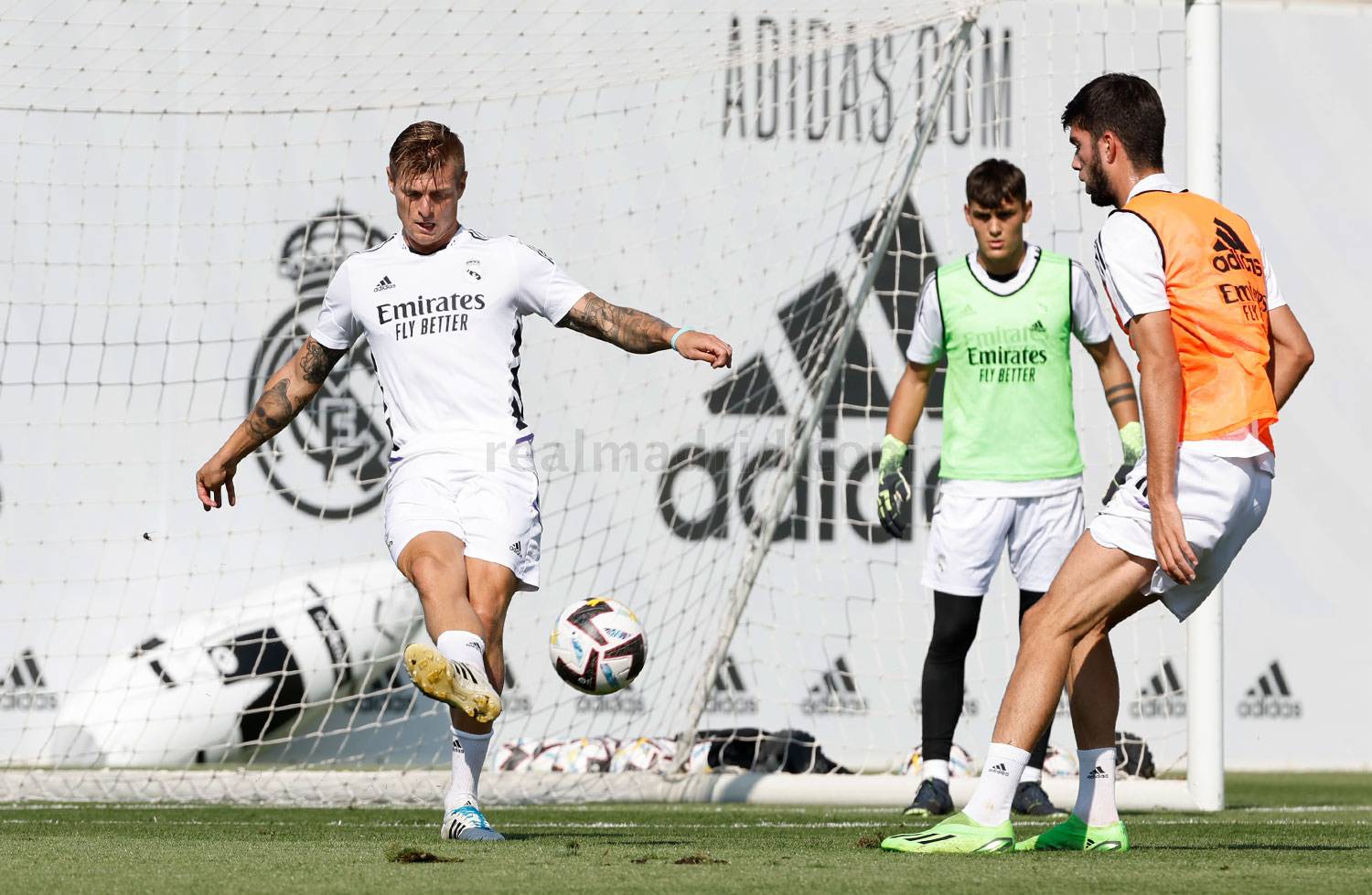 Команда приступила к тренировкам