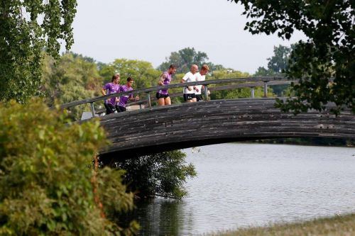 13680121_1232618370114013_6983549334495246539_o