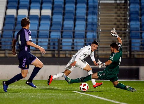 20192502-_1pc7595_20190223093559