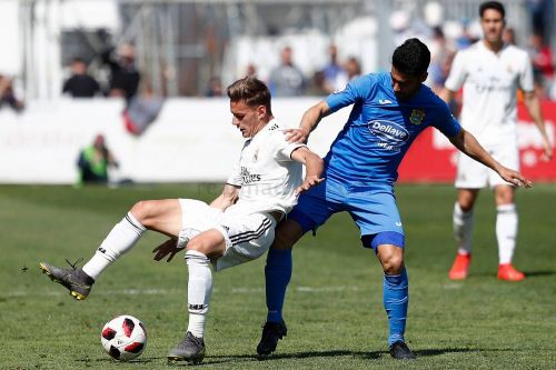 20191903-_he19468_20190317015553