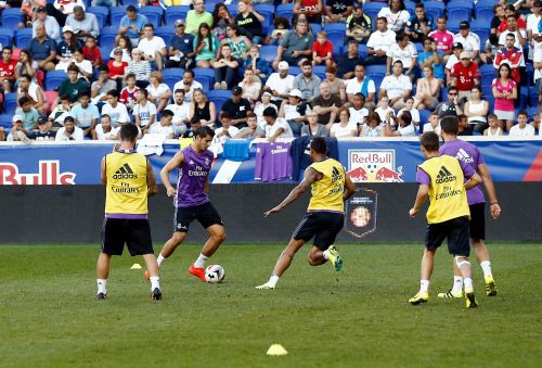 finalised preparations