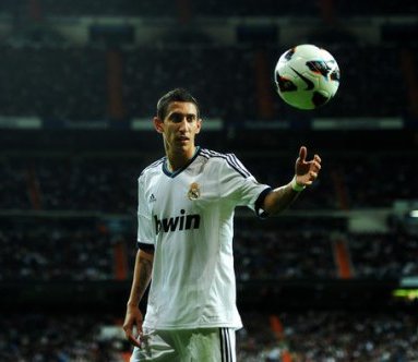 14-dr2013dimaria
