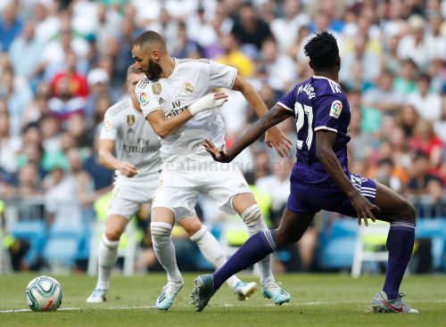 20192408-_1vc3088_20190824075536