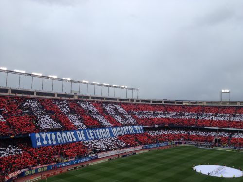 Перфоманс болельщиков 