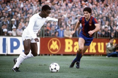 03122016-3AE3F47E00000578-0-image-a-3_1480522174107