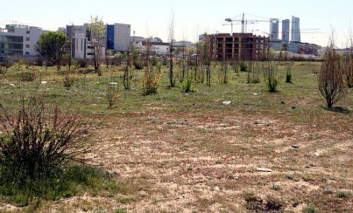 1467394183_896788_1467394258_noticia_normal